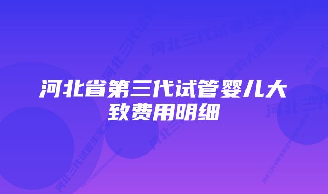 河北省第三代试管婴儿大致费用明细