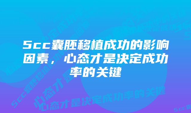 5cc囊胚移植成功的影响因素，心态才是决定成功率的关键