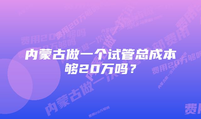 内蒙古做一个试管总成本够20万吗？