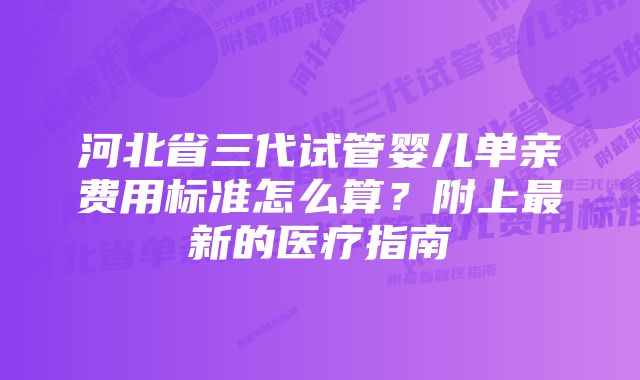 河北省三代试管婴儿单亲费用标准怎么算？附上最新的医疗指南