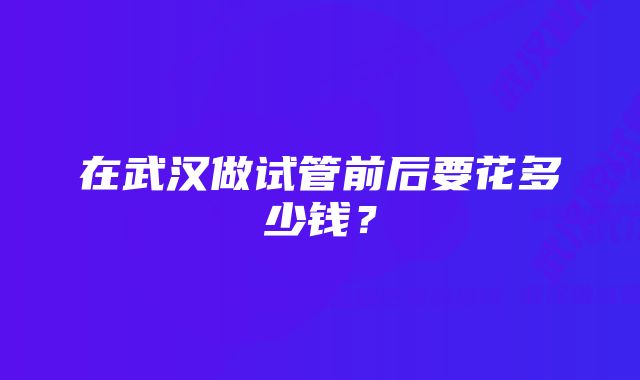 在武汉做试管前后要花多少钱？