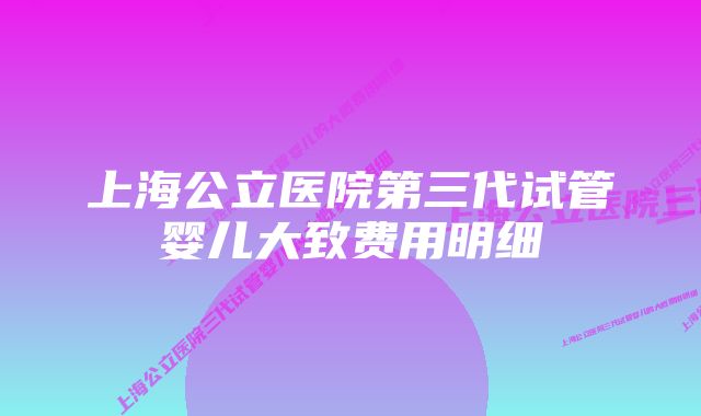 上海公立医院第三代试管婴儿大致费用明细