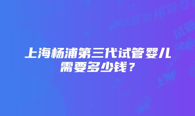 上海杨浦第三代试管婴儿需要多少钱？