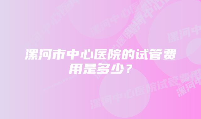 漯河市中心医院的试管费用是多少？