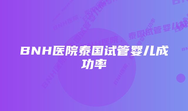 BNH医院泰国试管婴儿成功率