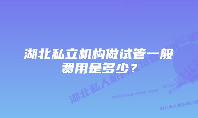 湖北私立机构做试管一般费用是多少？