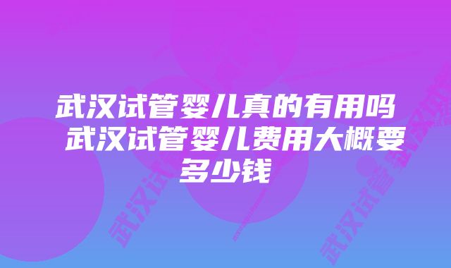 武汉试管婴儿真的有用吗 武汉试管婴儿费用大概要多少钱