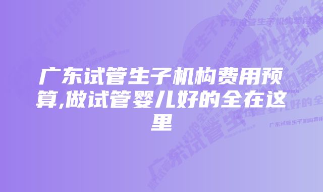 广东试管生子机构费用预算,做试管婴儿好的全在这里