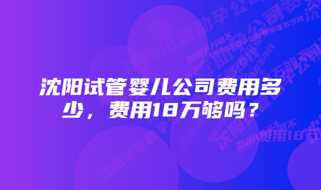 沈阳试管婴儿公司费用多少，费用18万够吗？