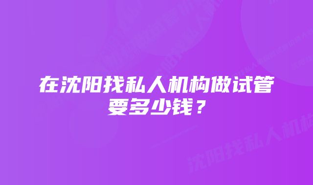 在沈阳找私人机构做试管要多少钱？