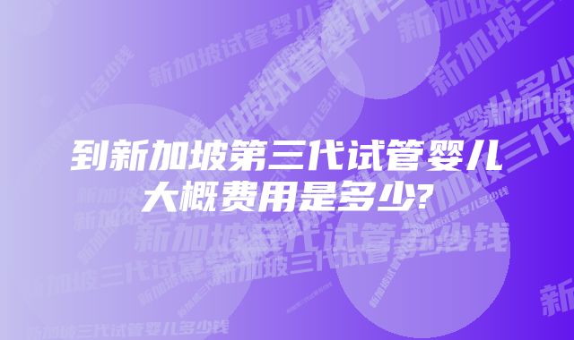 到新加坡第三代试管婴儿大概费用是多少?