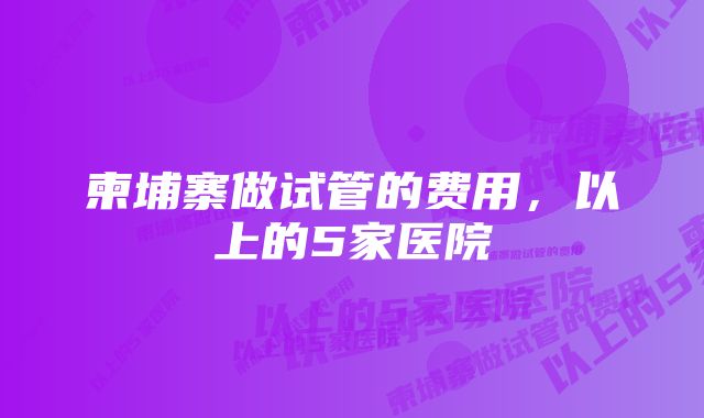 柬埔寨做试管的费用，以上的5家医院