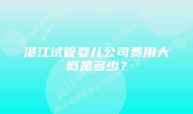 湛江试管婴儿公司费用大概是多少？