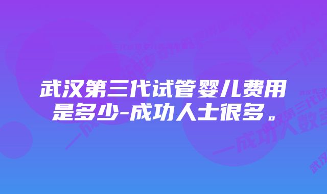 武汉第三代试管婴儿费用是多少-成功人士很多。