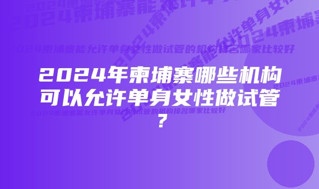 2024年柬埔寨哪些机构可以允许单身女性做试管？