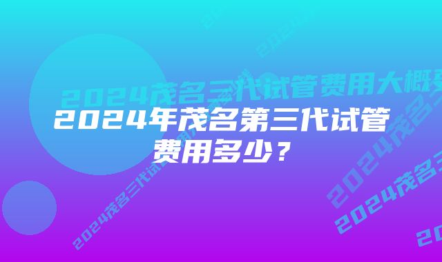 2024年茂名第三代试管费用多少？