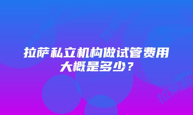 拉萨私立机构做试管费用大概是多少？