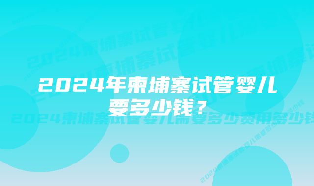 2024年柬埔寨试管婴儿要多少钱？