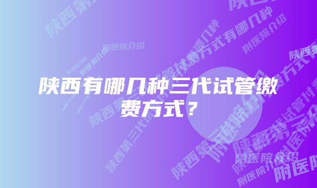 陕西有哪几种三代试管缴费方式？