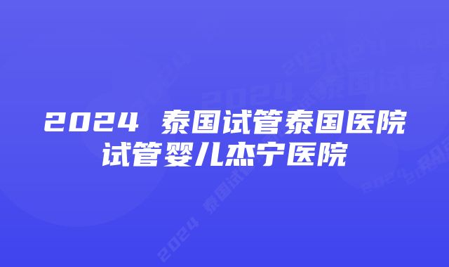 2024 泰国试管泰国医院试管婴儿杰宁医院