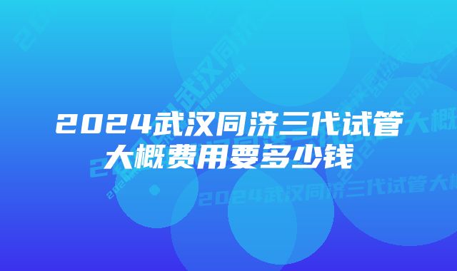 2024武汉同济三代试管大概费用要多少钱