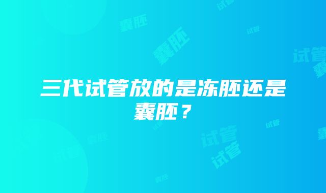 三代试管放的是冻胚还是囊胚？