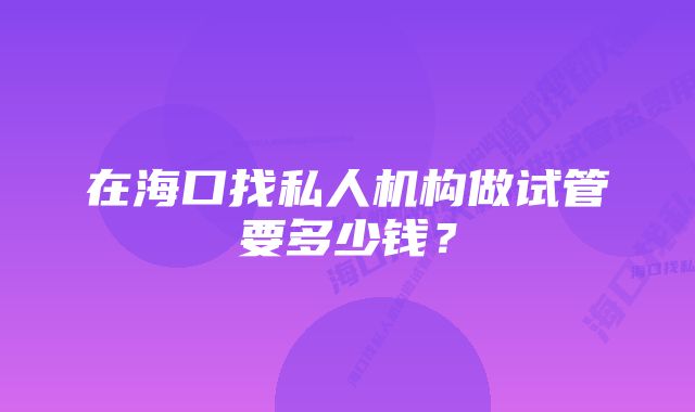 在海口找私人机构做试管要多少钱？