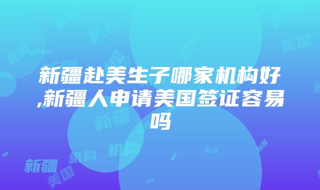 新疆赴美生子哪家机构好,新疆人申请美国签证容易吗