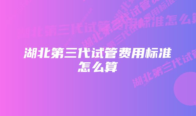 湖北第三代试管费用标准怎么算