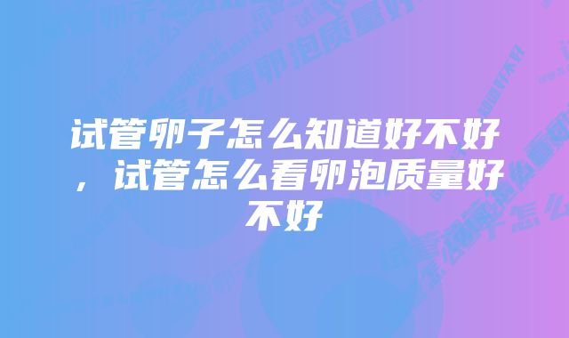 试管卵子怎么知道好不好，试管怎么看卵泡质量好不好