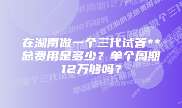 在湖南做一个三代试管**总费用是多少？单个周期12万够吗？