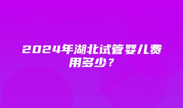 2024年湖北试管婴儿费用多少？