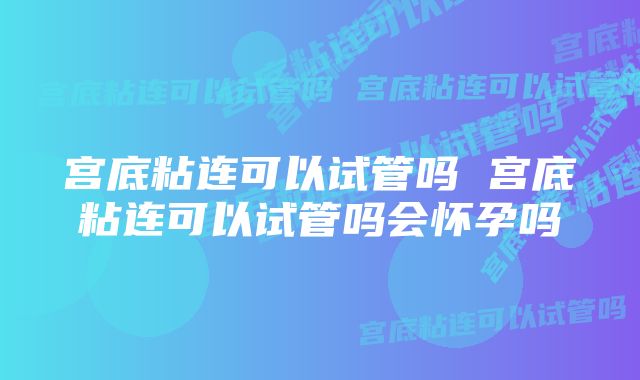 宫底粘连可以试管吗 宫底粘连可以试管吗会怀孕吗