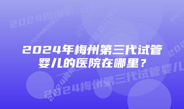 2024年梅州第三代试管婴儿的医院在哪里？