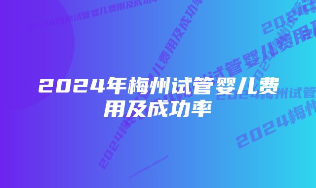 2024年梅州试管婴儿费用及成功率