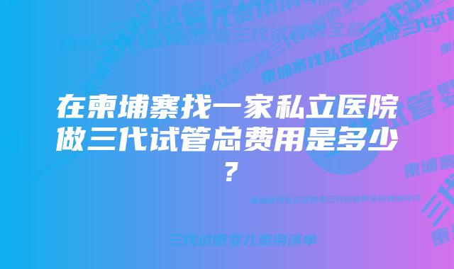 在柬埔寨找一家私立医院做三代试管总费用是多少？