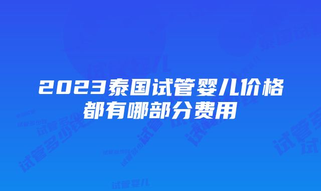 2023泰国试管婴儿价格都有哪部分费用