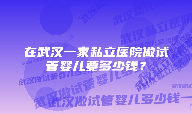 在武汉一家私立医院做试管婴儿要多少钱？