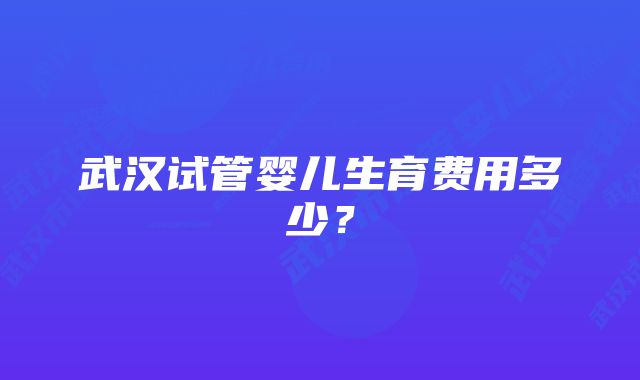 武汉试管婴儿生育费用多少？