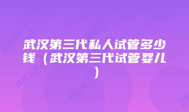 武汉第三代私人试管多少钱（武汉第三代试管婴儿）