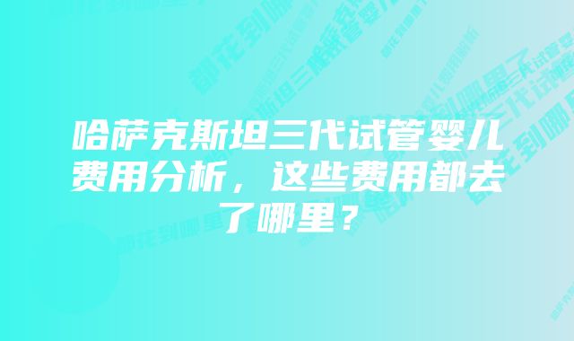 哈萨克斯坦三代试管婴儿费用分析，这些费用都去了哪里？