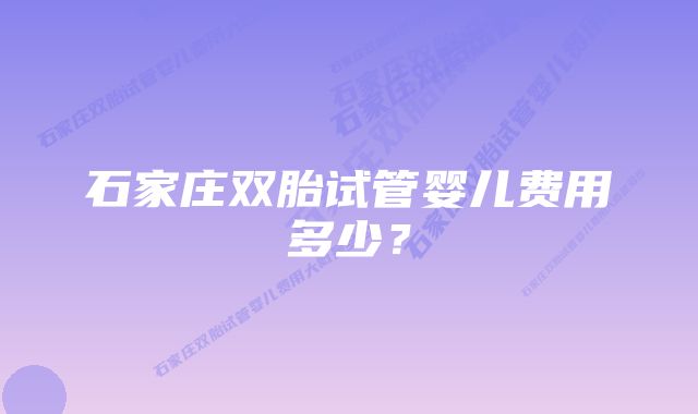 石家庄双胎试管婴儿费用多少？