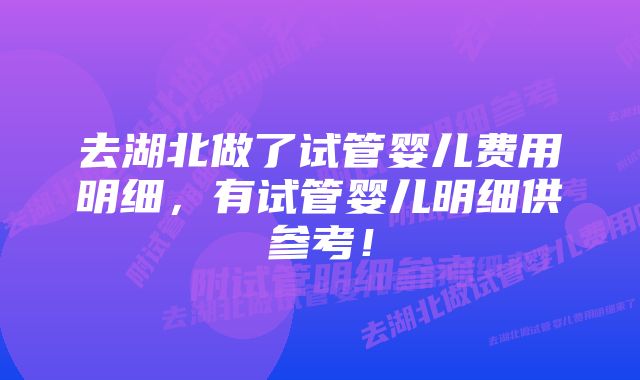 去湖北做了试管婴儿费用明细，有试管婴儿明细供参考！