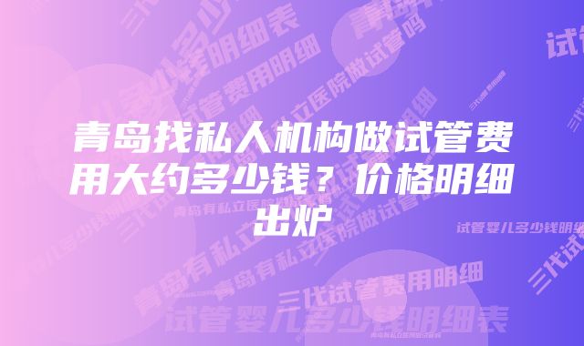 青岛找私人机构做试管费用大约多少钱？价格明细出炉