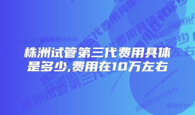 株洲试管第三代费用具体是多少,费用在10万左右