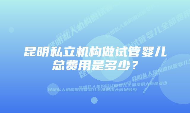 昆明私立机构做试管婴儿总费用是多少？