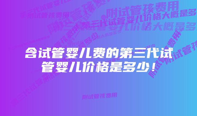 含试管婴儿费的第三代试管婴儿价格是多少！