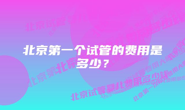 北京第一个试管的费用是多少？