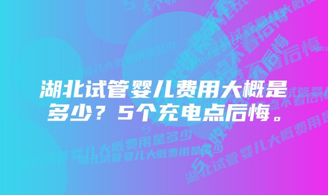 湖北试管婴儿费用大概是多少？5个充电点后悔。