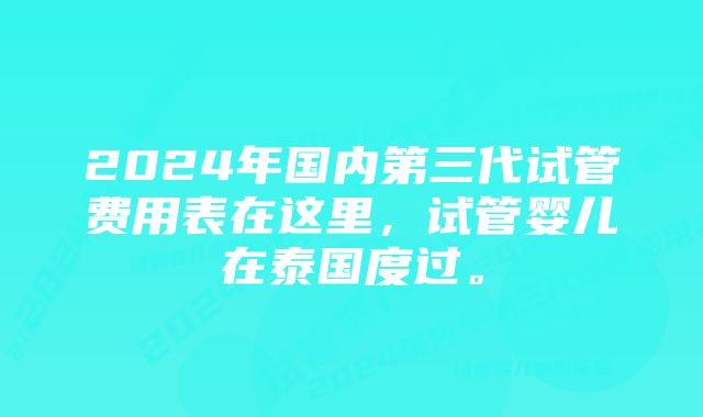 2024年国内第三代试管费用表在这里，试管婴儿在泰国度过。